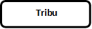  Tribu