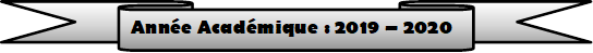 Année Académique : 2019 – 2020

