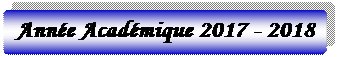 Rectangle à coins arrondis: Année Académique 2017 - 2018